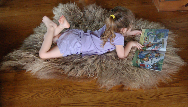 Sheepskin rug