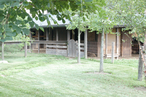 Sheep barn