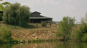 Sheep barn